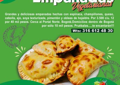 empanadas horneadas